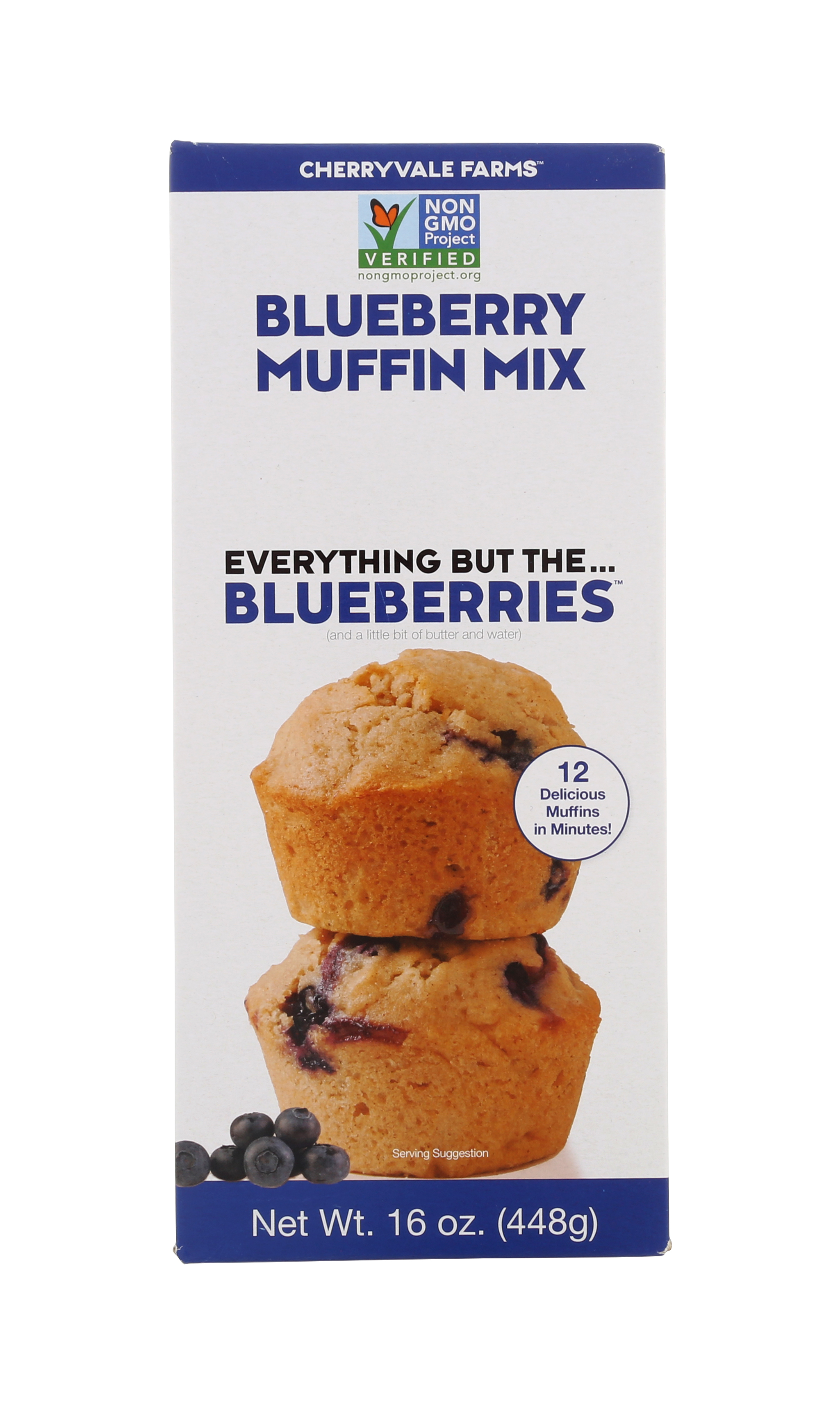 Blueberry Muffin Mix 