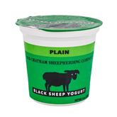 Yogurt - Plain