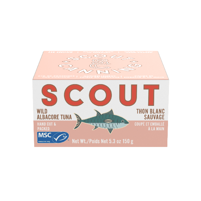 Wild Albacore Tuna