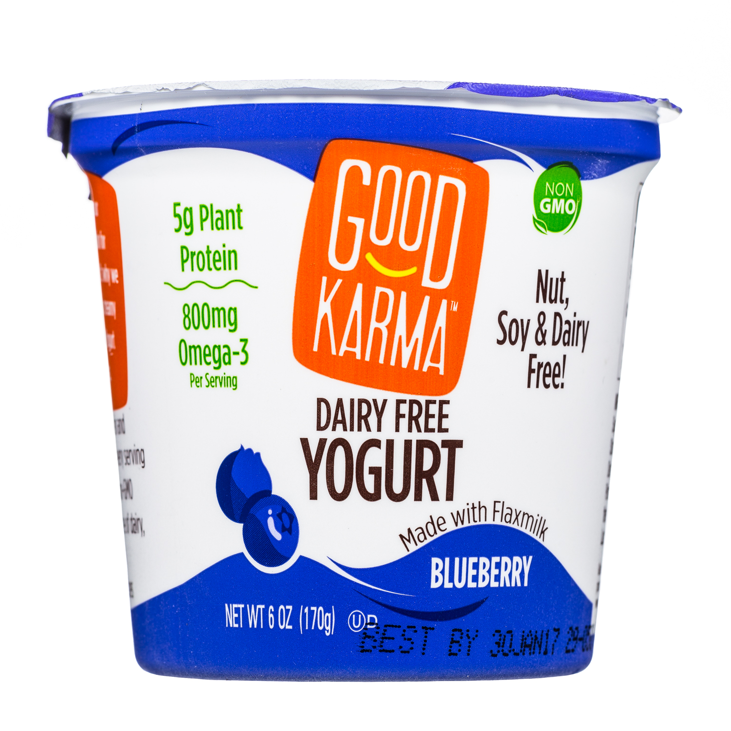 Blueberry Yogurt-6oz