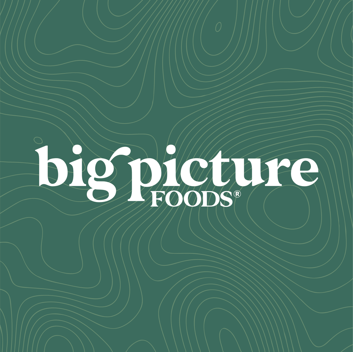 Big Picture Foods
